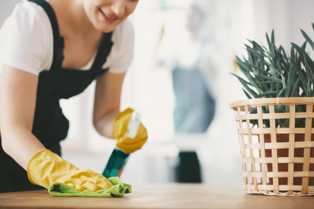 Green vs. Traditional Cleaning: The Similarities and Differences Explained